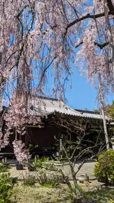 法金剛院(京都府)