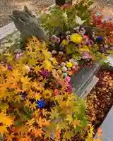 滑川神社 - 仕事と子どもの守り神の手水舎