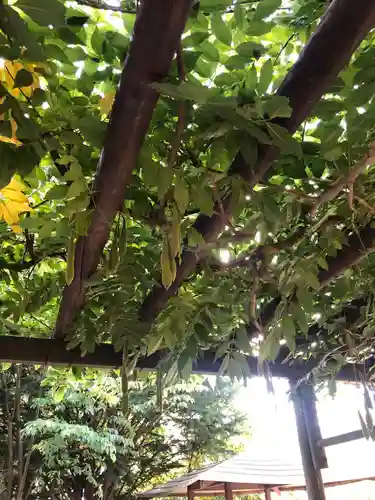 上湧別神社の自然