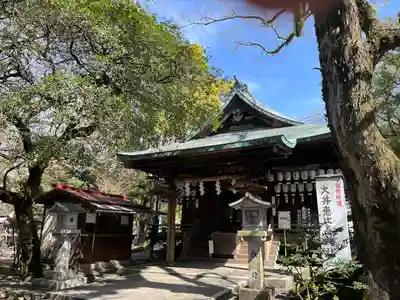 大井神社の本殿・本堂