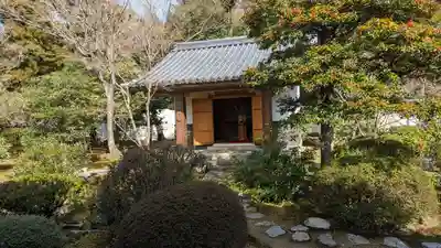 隨心院(随心院)(京都府)