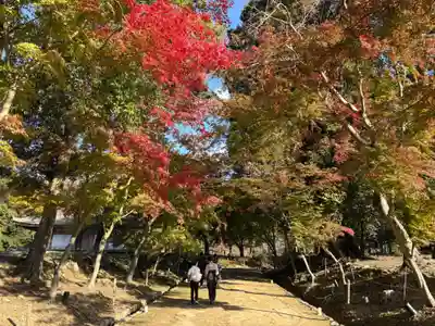 醍醐寺(京都府)