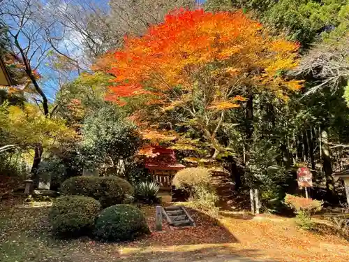 堂山王子神社の庭園