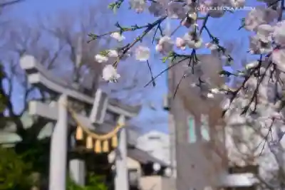 鳩ヶ谷氷川神社(埼玉県)