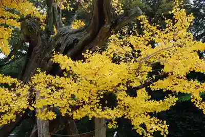 忌宮神社(山口県)