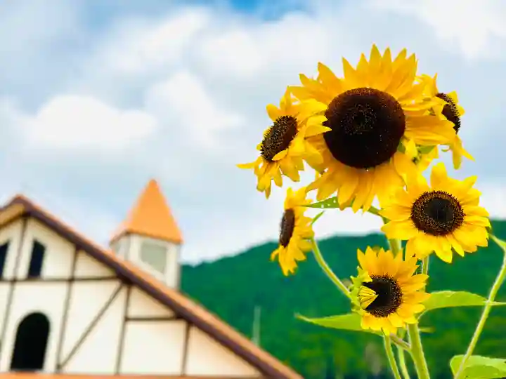 洲原神社(岐阜県)