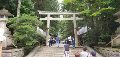 彌彦神社の鳥居