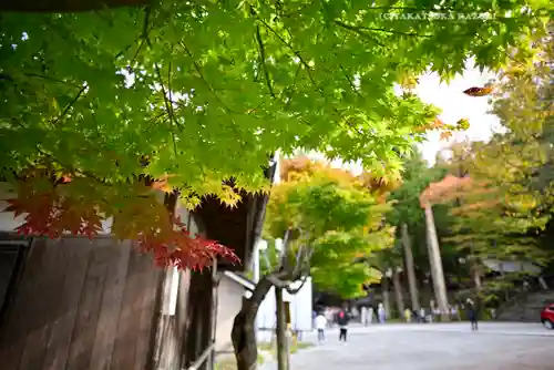 諏訪大社(長野県)