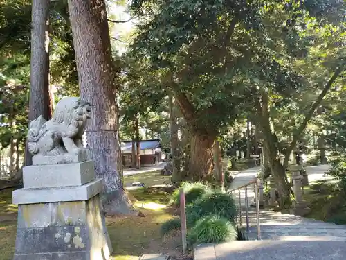 気多神社の狛犬