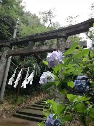 太平山神社の鳥居