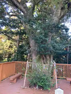 神明神社（相差町）(三重県)