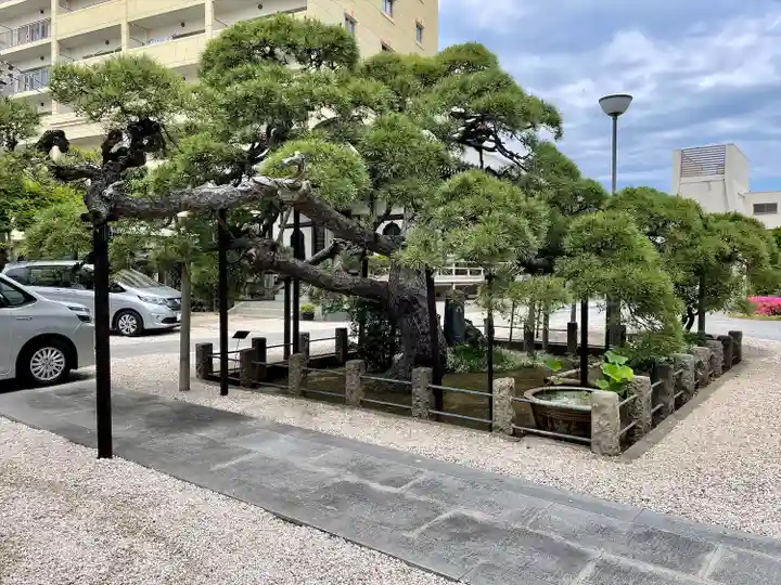 光明寺(千葉県)