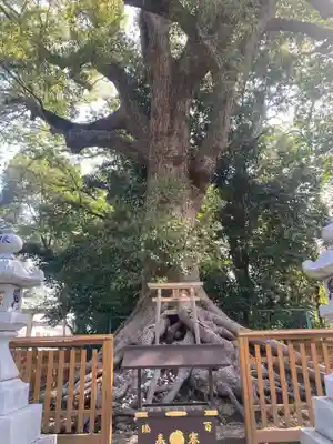 和泉國一之宮　大鳥大社(大阪府)