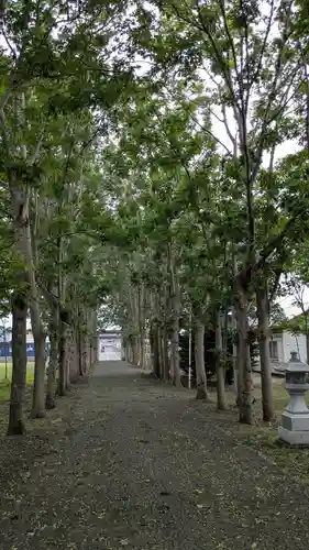 遠別神社の景色