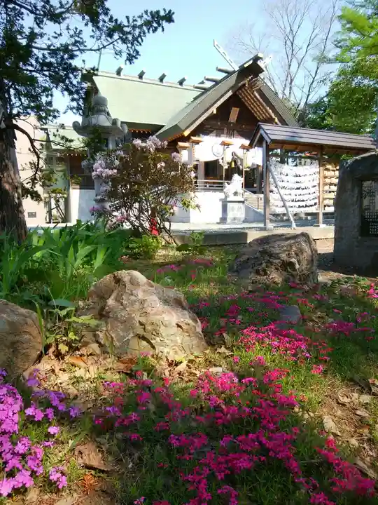 信濃神社の本殿・本堂