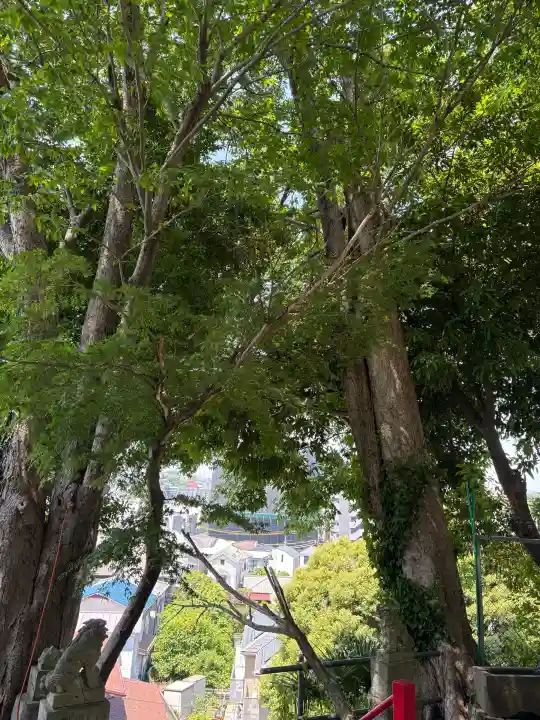 西森稲荷大明神の{uncategorized: "未分類", other: "その他", undefined: "問題あり", building: "その他建物", grave: "お墓", sacred_gate: "鳥居", guardian: "狛犬", statue: "像", buddha: "仏像", history: "歴史", nature: "自然", garden: "庭園", animal: "動物", pagoda: "塔", temizu: "手水舎", mountain_gate: "山門・神門", sanctuary: "本殿・本堂", subordinate: "末社・摂社", art: "芸術", scenery: "景色", jizo: "地蔵", ema: "絵馬", goshuin: "御朱印", omikuji: "おみくじ", items: "授与品その他", amulet: "お守り", goshuincho: "御朱印帳", eats: "食事", festival: "お祭り", votive_dance: "神楽", shichigosan: "七五三参", wedding: "結婚式", experience: "体験その他", initially: "初詣", around: "周辺", anti_infection: "感染症対策"}