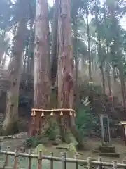 御岩神社の自然