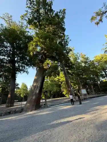 伊勢神宮外宮（豊受大神宮）の{uncategorized: "未分類", other: "その他", undefined: "問題あり", building: "その他建物", grave: "お墓", sacred_gate: "鳥居", guardian: "狛犬", statue: "像", buddha: "仏像", history: "歴史", nature: "自然", garden: "庭園", animal: "動物", pagoda: "塔", temizu: "手水舎", mountain_gate: "山門・神門", sanctuary: "本殿・本堂", subordinate: "末社・摂社", art: "芸術", scenery: "景色", jizo: "地蔵", ema: "絵馬", goshuin: "御朱印", omikuji: "おみくじ", items: "授与品その他", amulet: "お守り", goshuincho: "御朱印帳", eats: "食事", festival: "お祭り", votive_dance: "神楽", shichigosan: "七五三参", wedding: "結婚式", experience: "体験その他", initially: "初詣", around: "周辺", anti_infection: "感染症対策"}