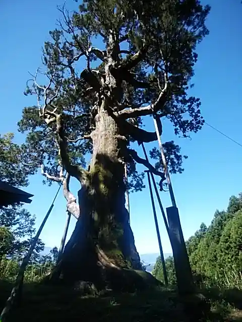 木幡山隠津島神社(二本松市)の自然