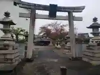 滋賀県護国神社の鳥居