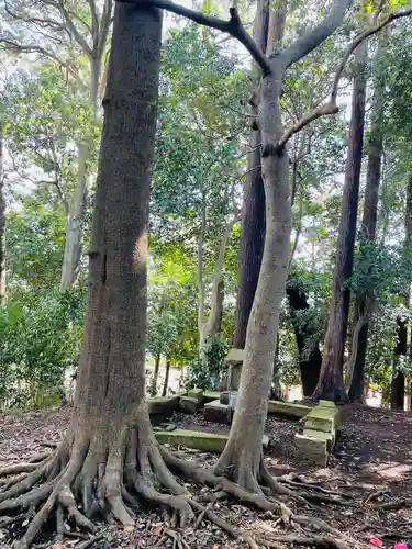 冨士浅間神社(茨城県)