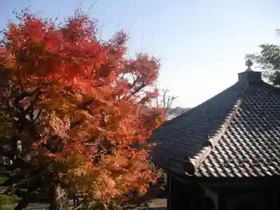 長谷寺のその他建物