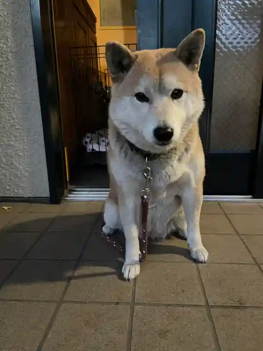 笠䅣稲荷神社(神奈川県)