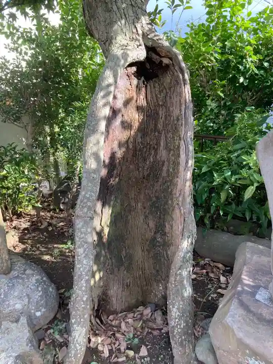 船玉神社の自然