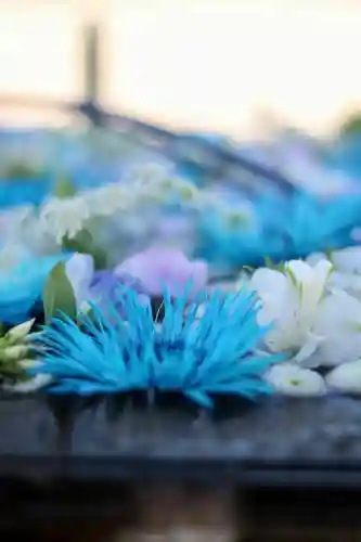 箭弓稲荷神社の{uncategorized: "未分類", other: "その他", undefined: "問題あり", building: "その他建物", grave: "お墓", sacred_gate: "鳥居", guardian: "狛犬", statue: "像", buddha: "仏像", history: "歴史", nature: "自然", garden: "庭園", animal: "動物", pagoda: "塔", temizu: "手水舎", mountain_gate: "山門・神門", sanctuary: "本殿・本堂", subordinate: "末社・摂社", art: "芸術", scenery: "景色", jizo: "地蔵", ema: "絵馬", goshuin: "御朱印", omikuji: "おみくじ", items: "授与品その他", amulet: "お守り", goshuincho: "御朱印帳", eats: "食事", festival: "お祭り", votive_dance: "神楽", shichigosan: "七五三参", wedding: "結婚式", experience: "体験その他", initially: "初詣", around: "周辺", anti_infection: "感染症対策"}