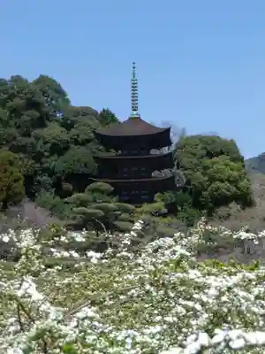 瑠璃光寺(山口県)