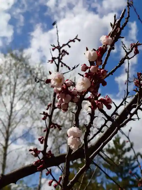 相馬神社(北海道)