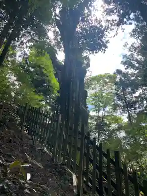 玉置神社(奈良県)