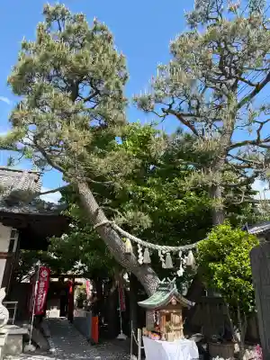 塚本神社の{uncategorized: "未分類", other: "その他", undefined: "問題あり", building: "その他建物", grave: "お墓", sacred_gate: "鳥居", guardian: "狛犬", statue: "像", buddha: "仏像", history: "歴史", nature: "自然", garden: "庭園", animal: "動物", pagoda: "塔", temizu: "手水舎", mountain_gate: "山門・神門", sanctuary: "本殿・本堂", subordinate: "末社・摂社", art: "芸術", scenery: "景色", jizo: "地蔵", ema: "絵馬", goshuin: "御朱印", omikuji: "おみくじ", items: "授与品その他", amulet: "お守り", goshuincho: "御朱印帳", eats: "食事", festival: "お祭り", votive_dance: "神楽", shichigosan: "七五三参", wedding: "結婚式", experience: "体験その他", initially: "初詣", around: "周辺", anti_infection: "感染症対策"}