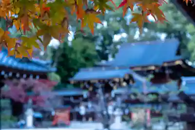 今宮神社(京都府)