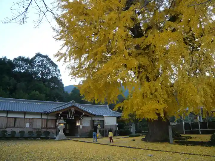 丹生酒殿神社のその他建物