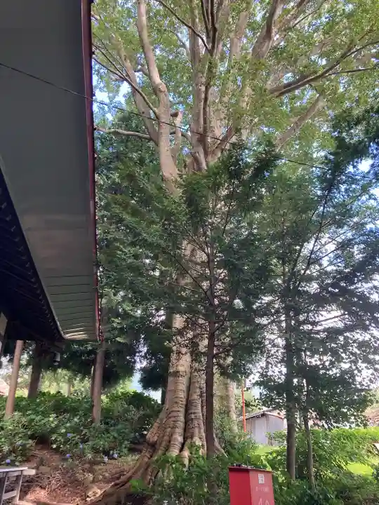 常光寺(長野県)