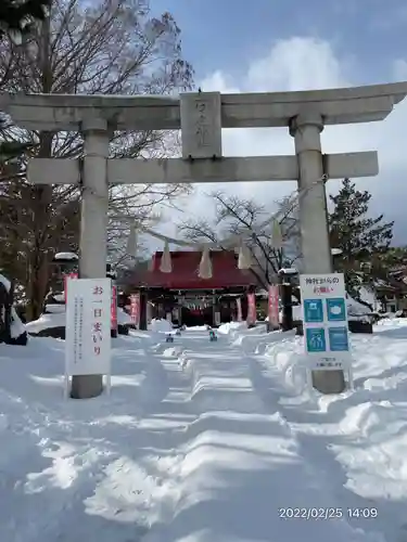 伊達神社の鳥居