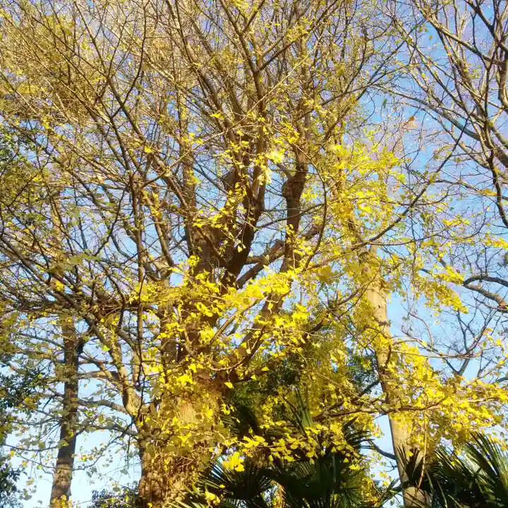 鹿島神社の自然
