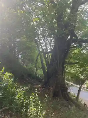 登米神社(宮城県)