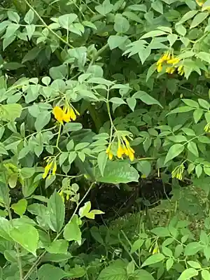 興禅寺(愛知県)