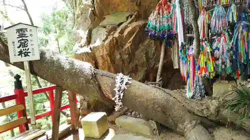 徳善院明王密寺のその他建物