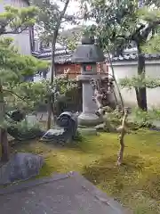 新德禅寺 (新徳寺)の庭園