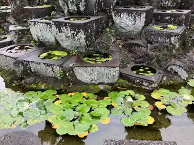 宝仙寺のその他建物