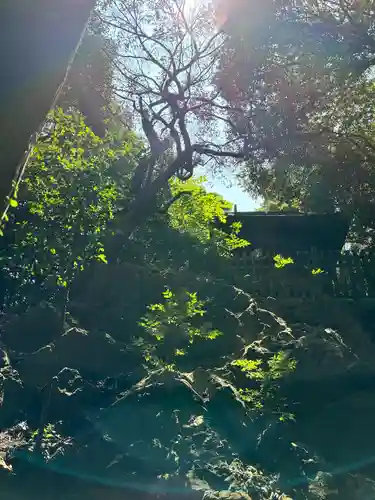 大甕神社(茨城県)