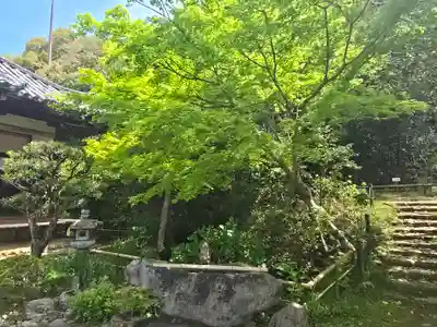 白毫寺(奈良県)