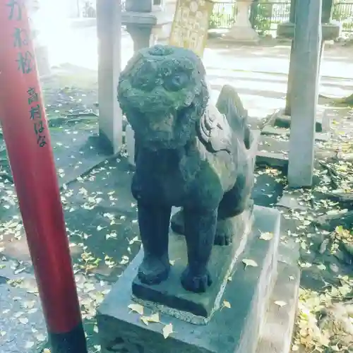 富岡八幡宮の狛犬