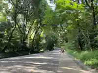 明治神宮(東京都)