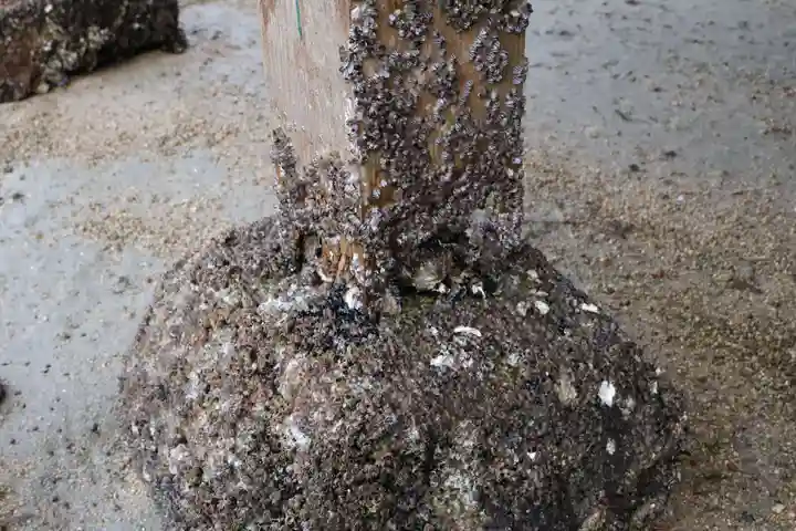 厳島神社(広島県)