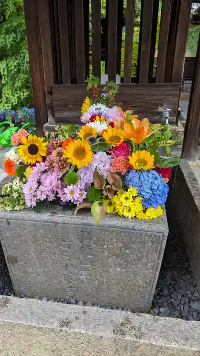 勝林寺(京都府)