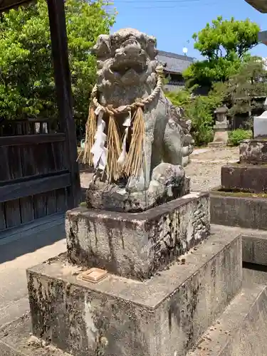 垣田神社の狛犬
